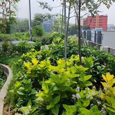 Kallang Whampoa - Completed