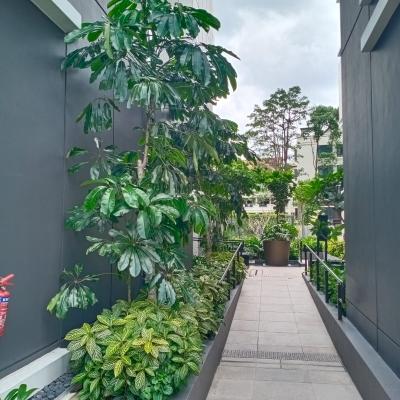 14 Peak Residence