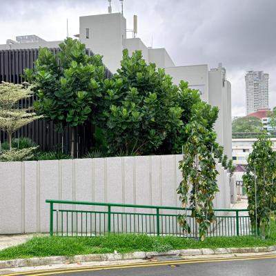 Peak Residence 9