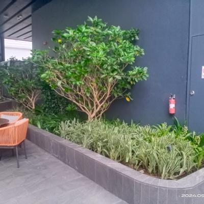10 Pullman Singapore Hill Street