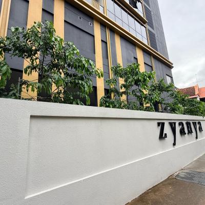 Zyanya 2
